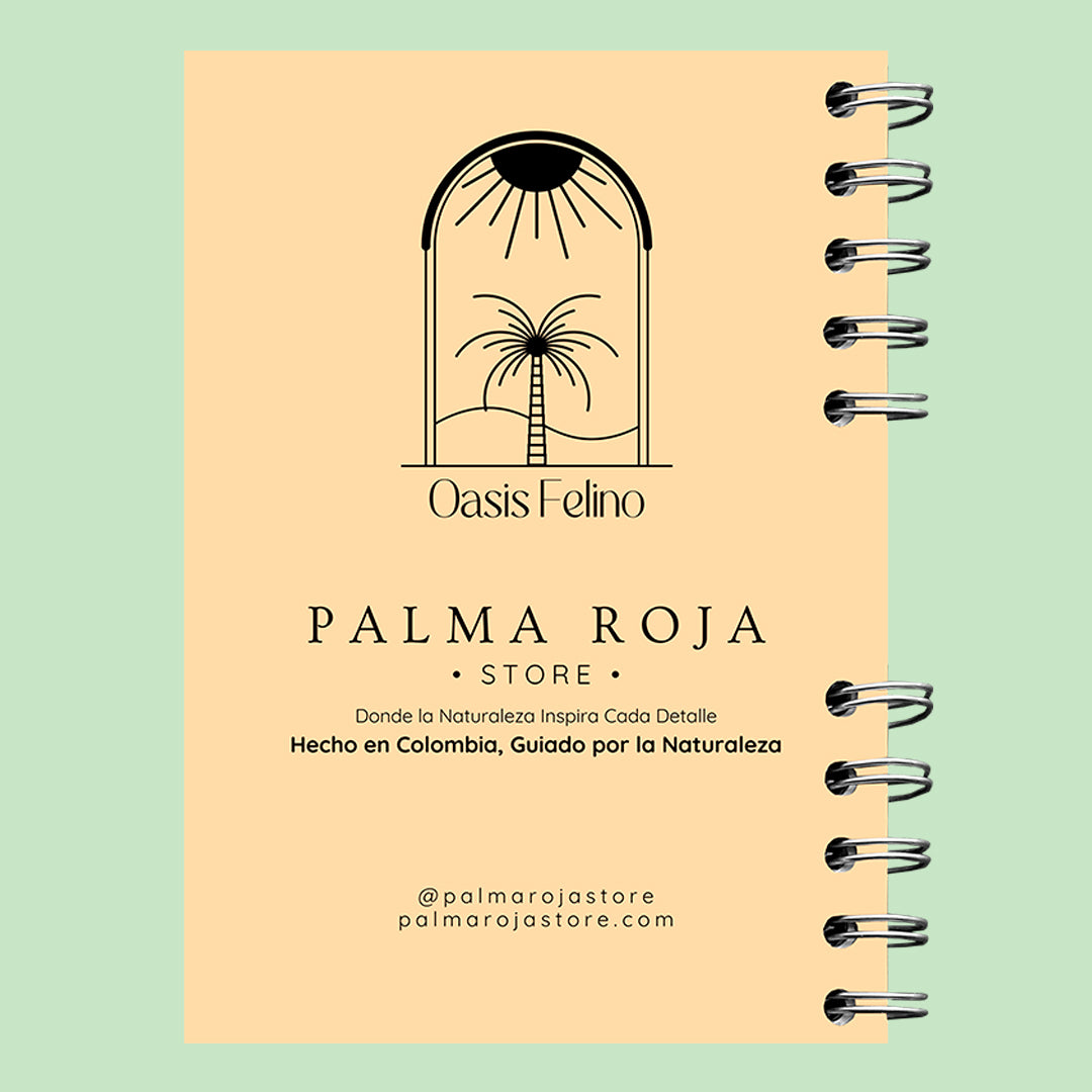 CATALINA Y CONEXIÓN | OASIS FELINO