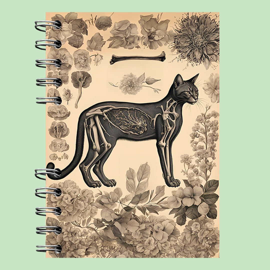 ESTUDIOS | OASIS FELINO