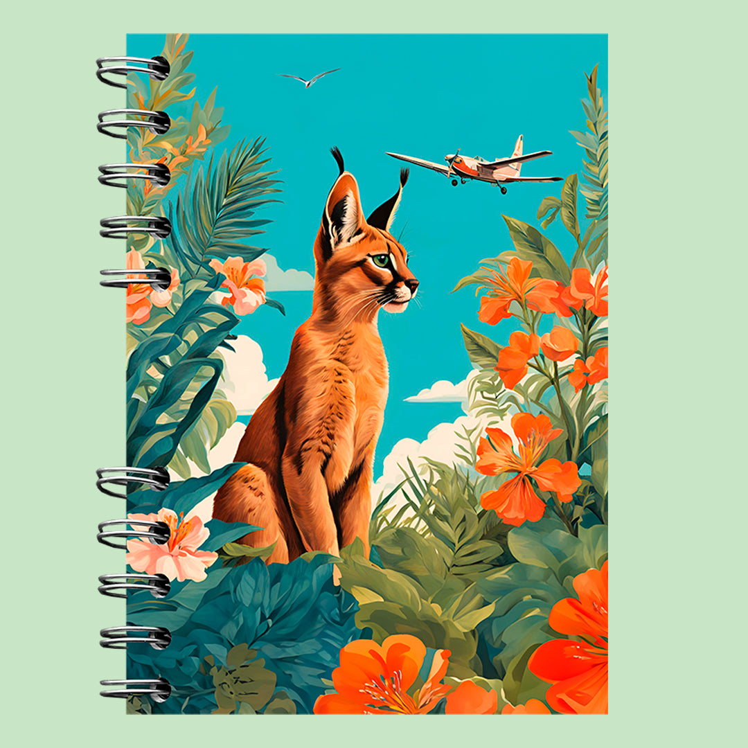 VIAJES | OASIS FELINO