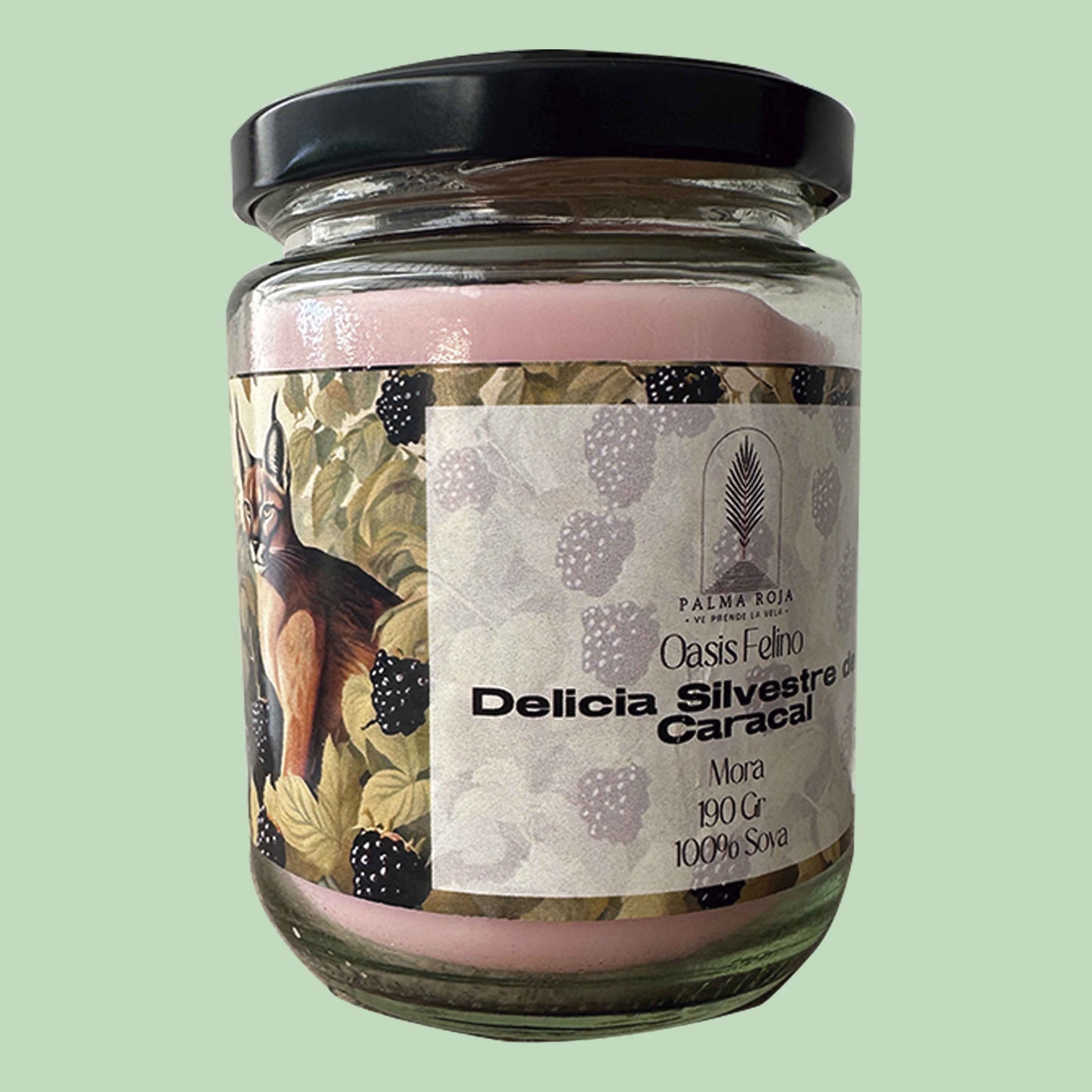 DELICIA SILVESTRE DEL CARACAL | OASIS FELINO