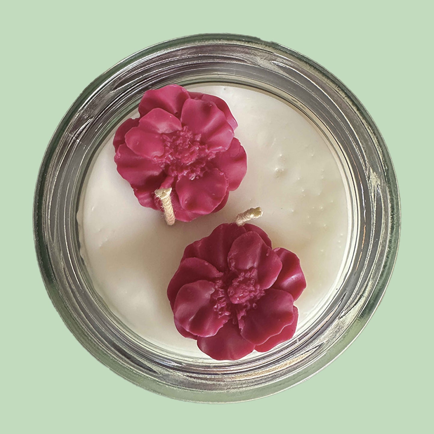 BRUMA FLORAL DEL JAGUAR | OASIS FELINO