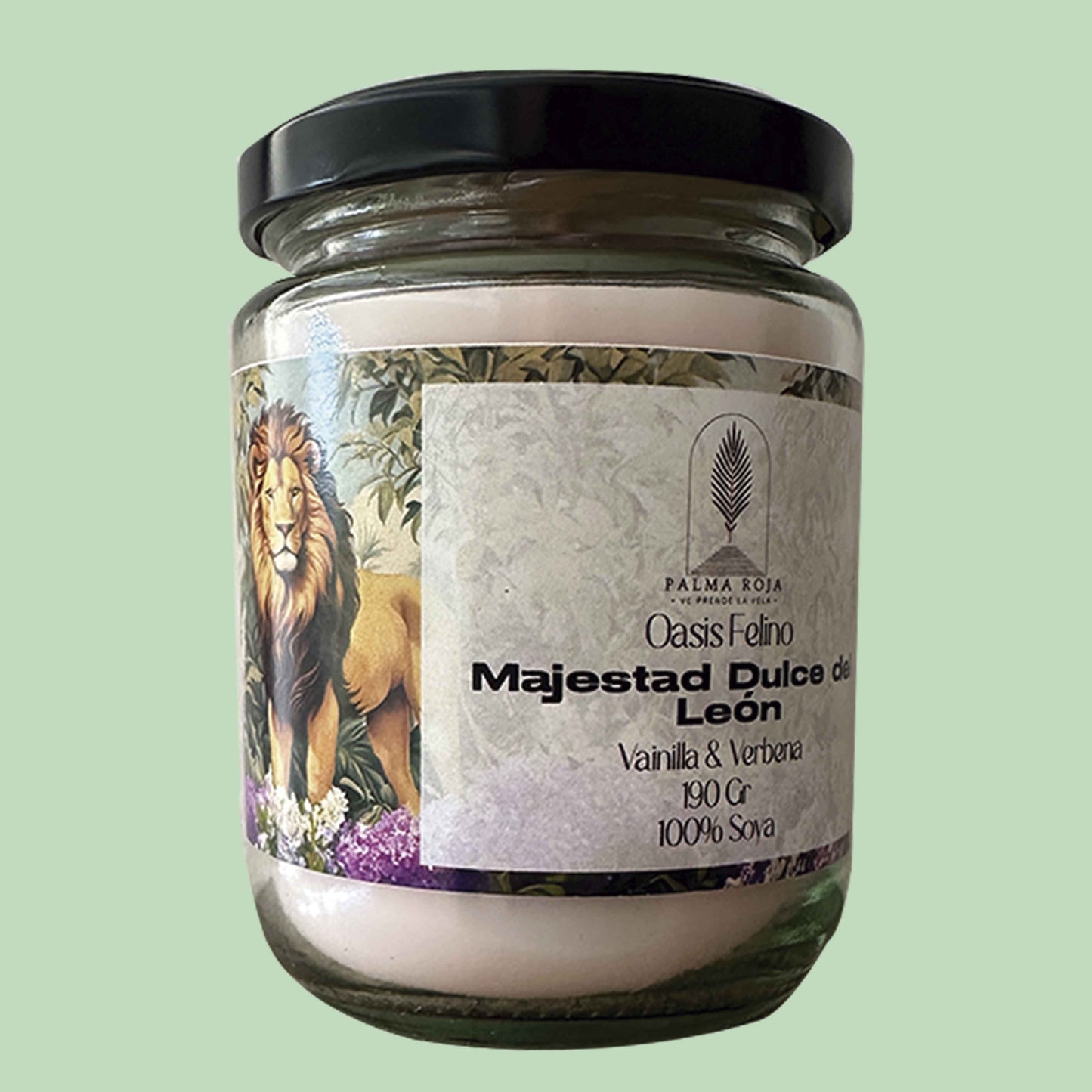MAJESTAD DULCE DEL LEÓN | OASIS FELINO