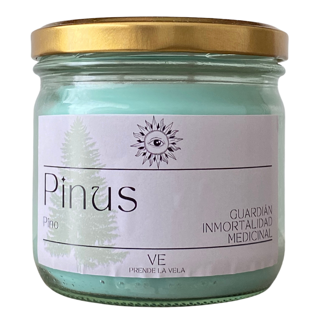 PINO