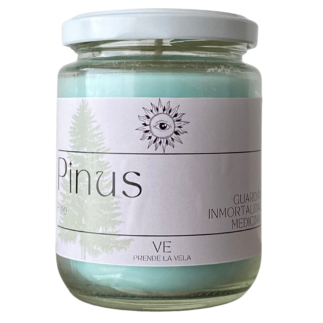 PINO