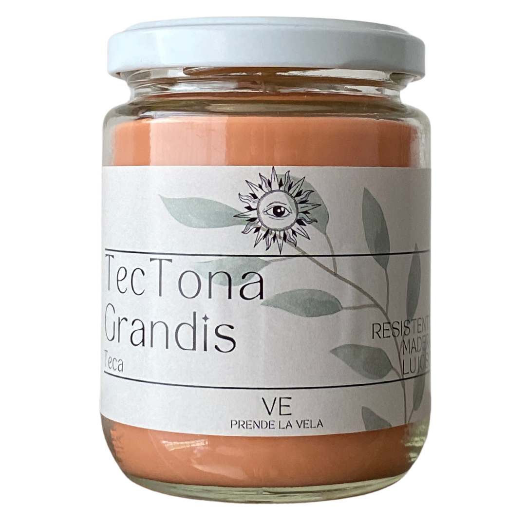TECA