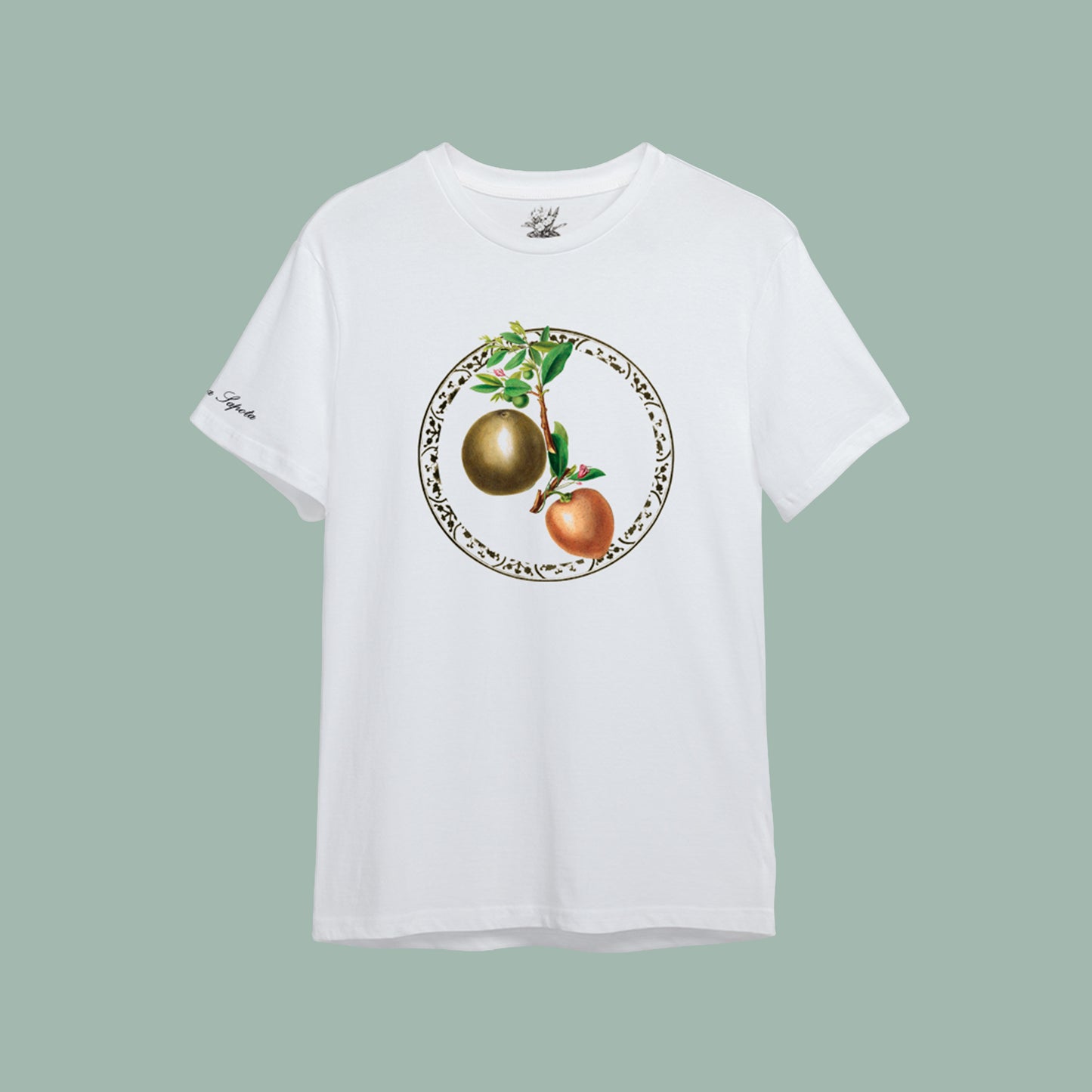 ZAPOTE | BODEGÓN