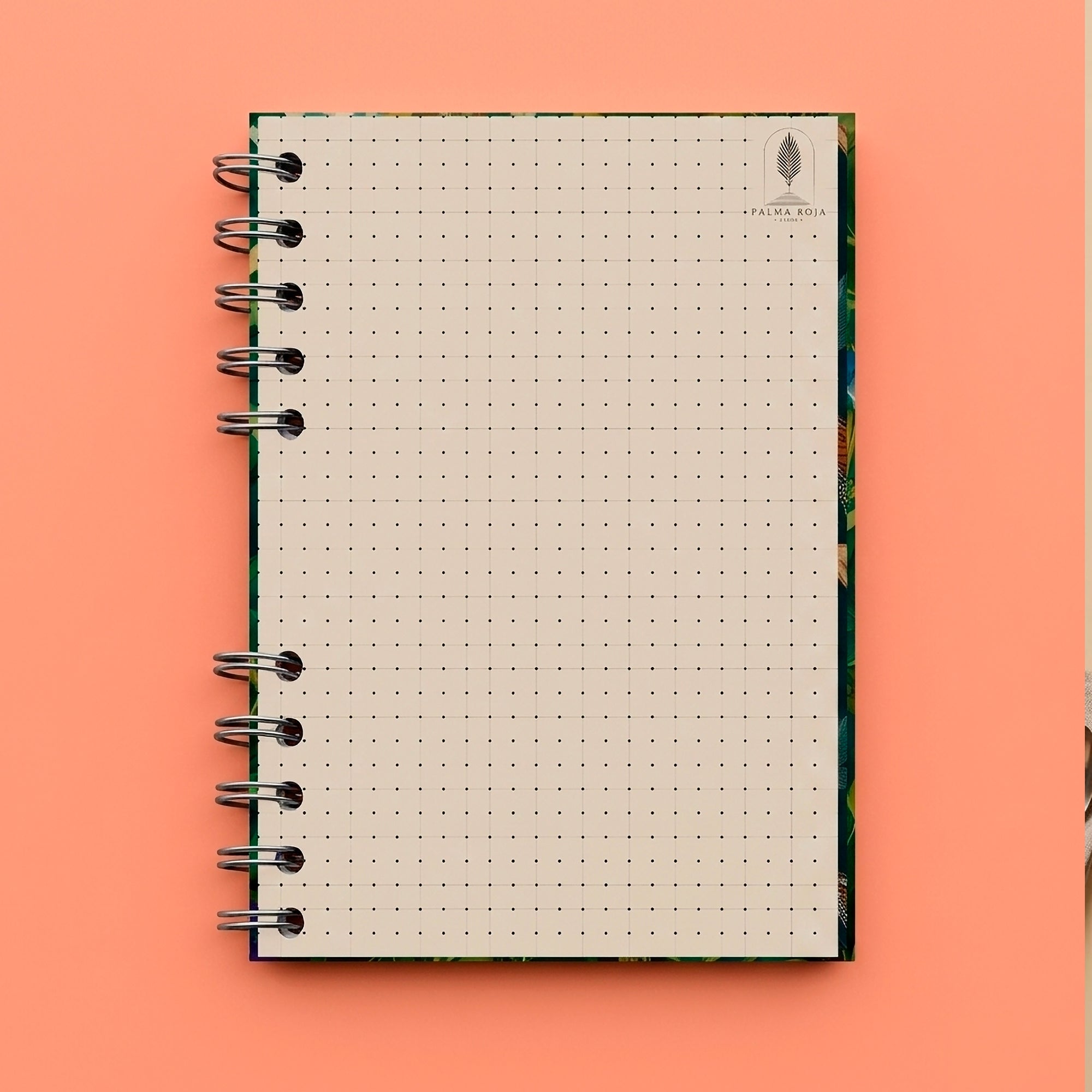 BARRIGA LLENA CORAZÓN CONTENTO | SABÍDURIA POPULAR-CULTURA