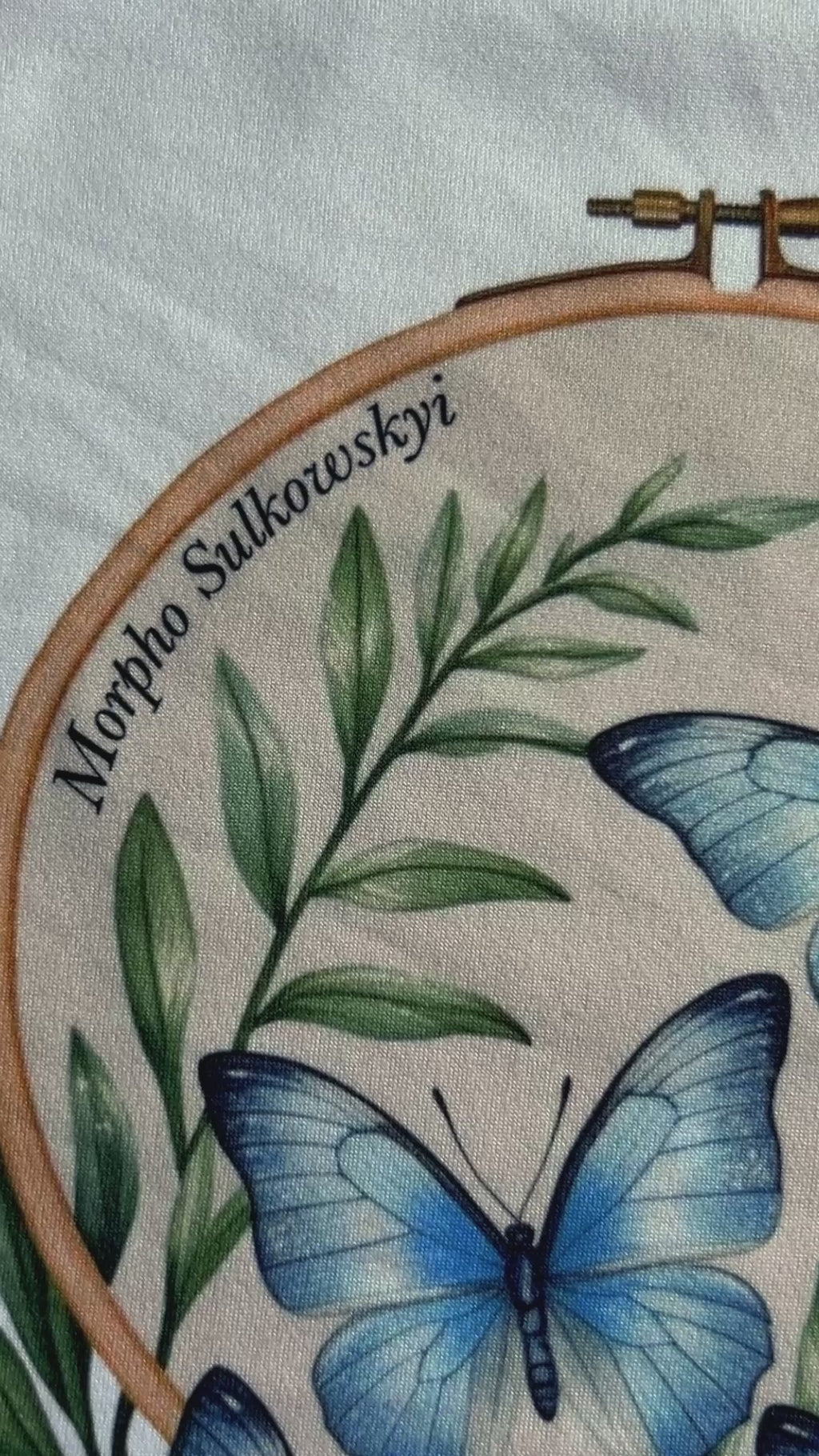 MORPHO ANDINO | HILAZAS-FAUNA